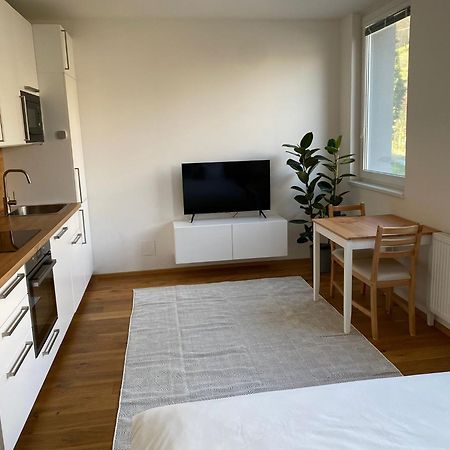 Vila Vinice Praha Exteriér fotografie